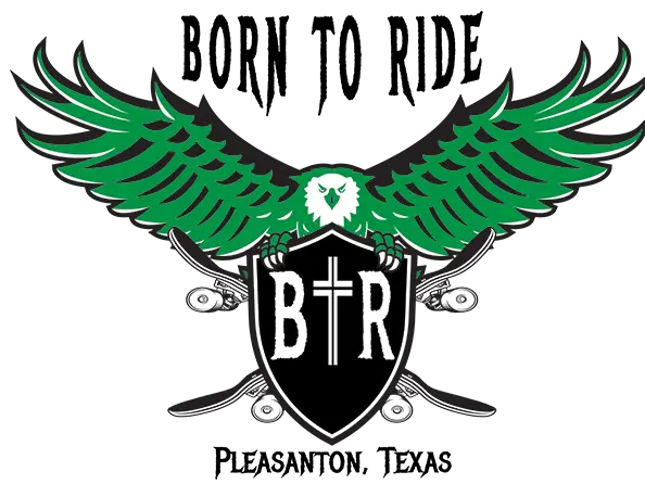 BTR Logo - green eagle with skateboard